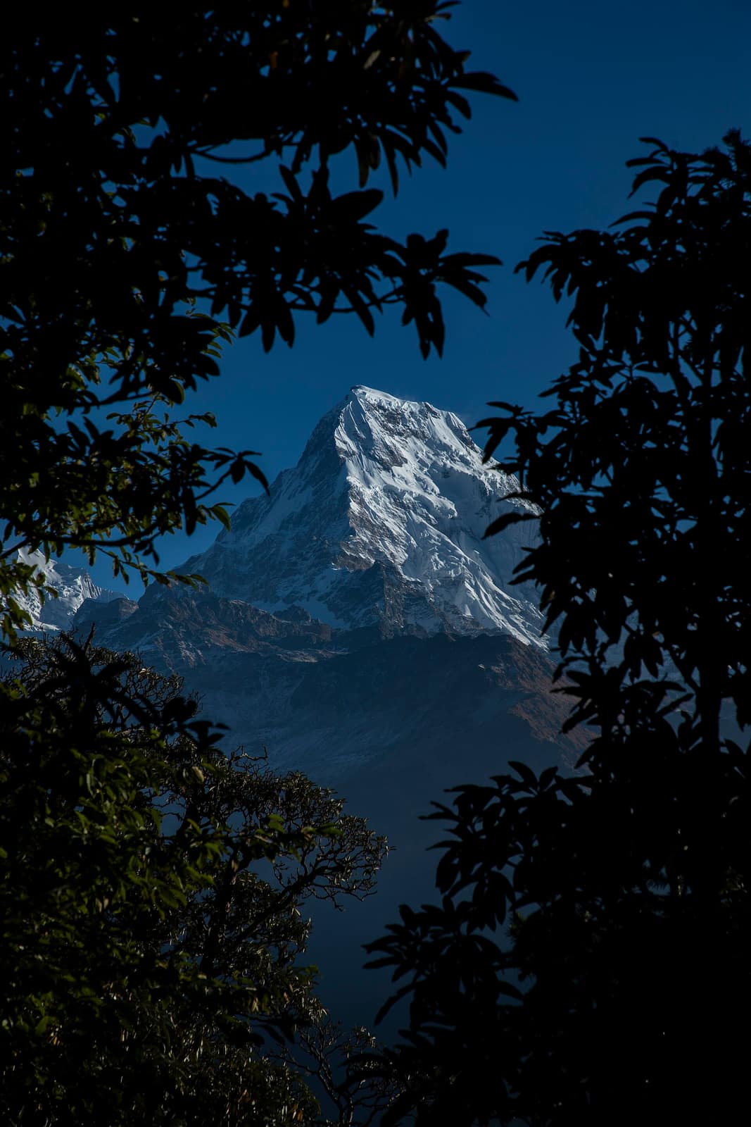 Annapurna South in the Annapurna Conservation Area, Nepal