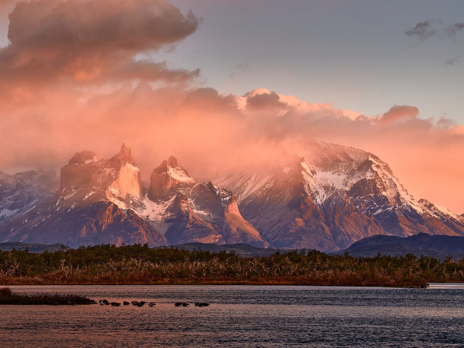 Cuernos del Paine from Lake Pehoé on the W circuit